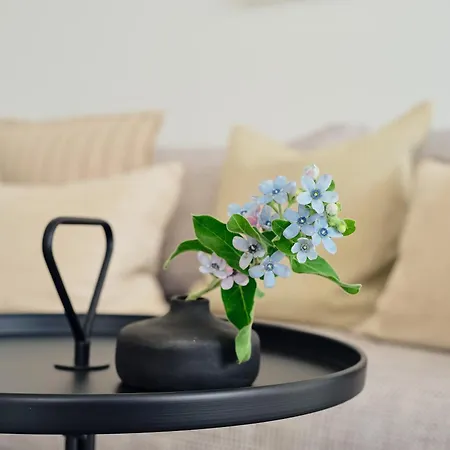 Apartment B 8 